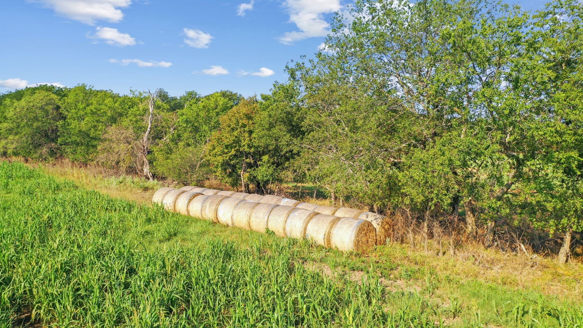 304.63 acres in Erath County - photo 31