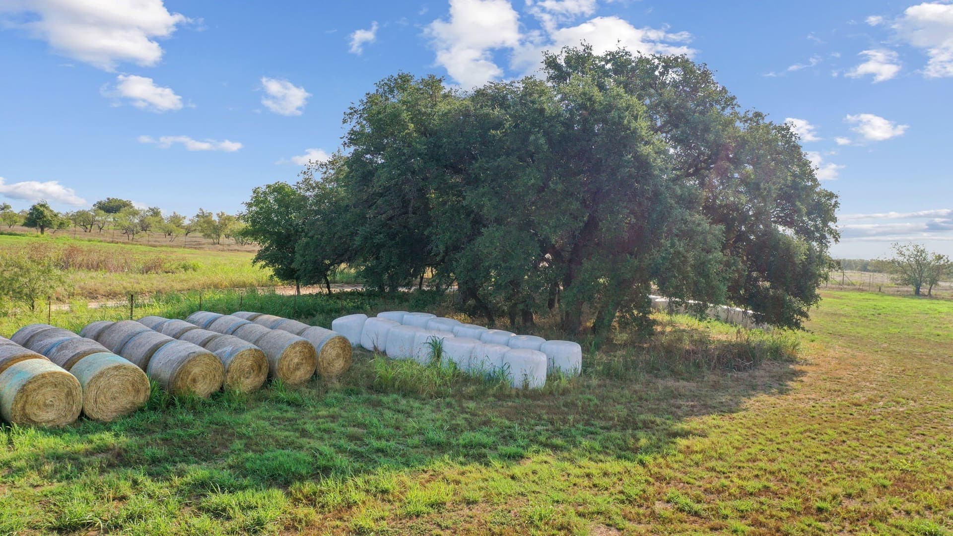 304.63 acres in Erath County - photo 33