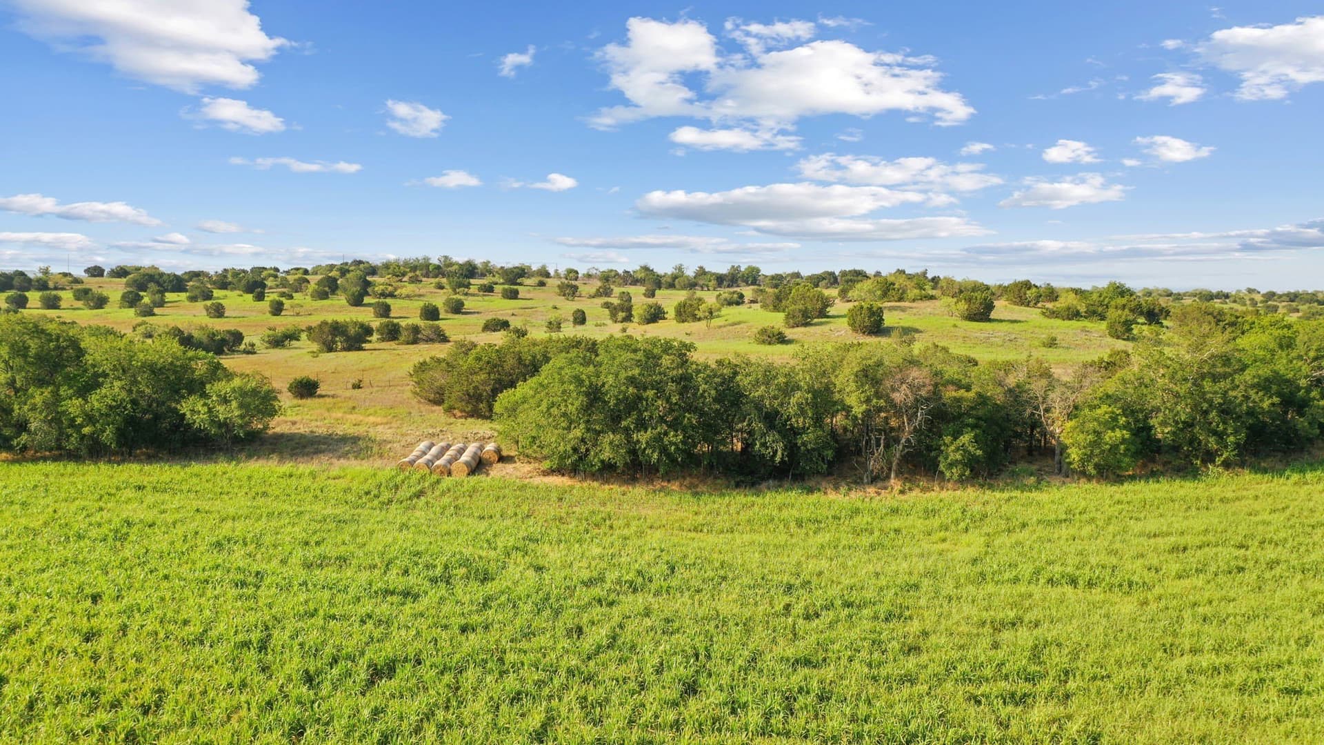 304.63 acres in Erath County - photo 15