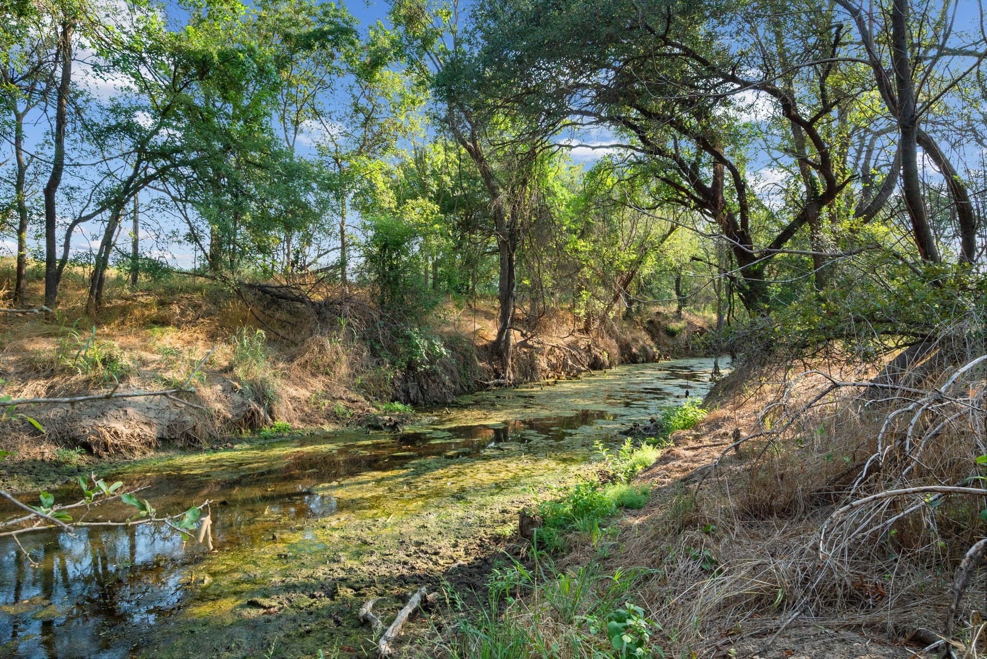 304.63 acres in Erath County - photo 35