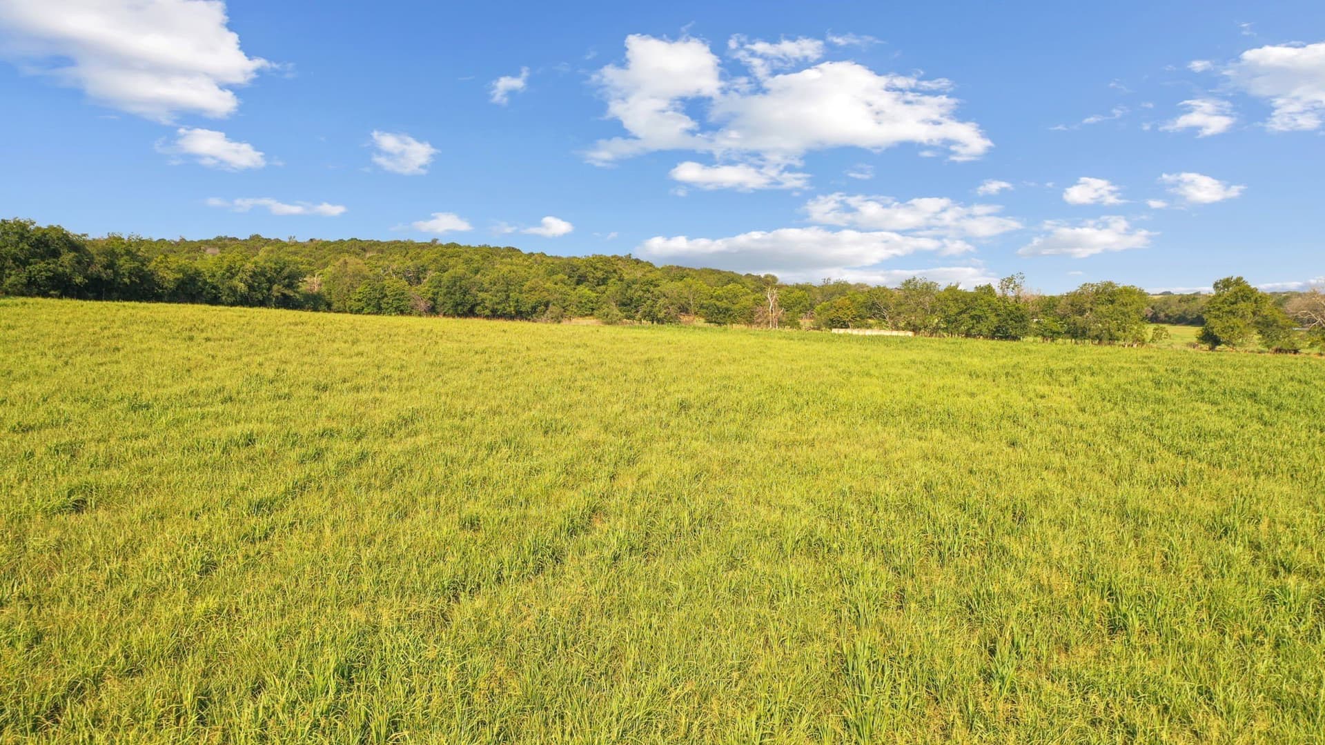 304.63 acres in Erath County - photo 16