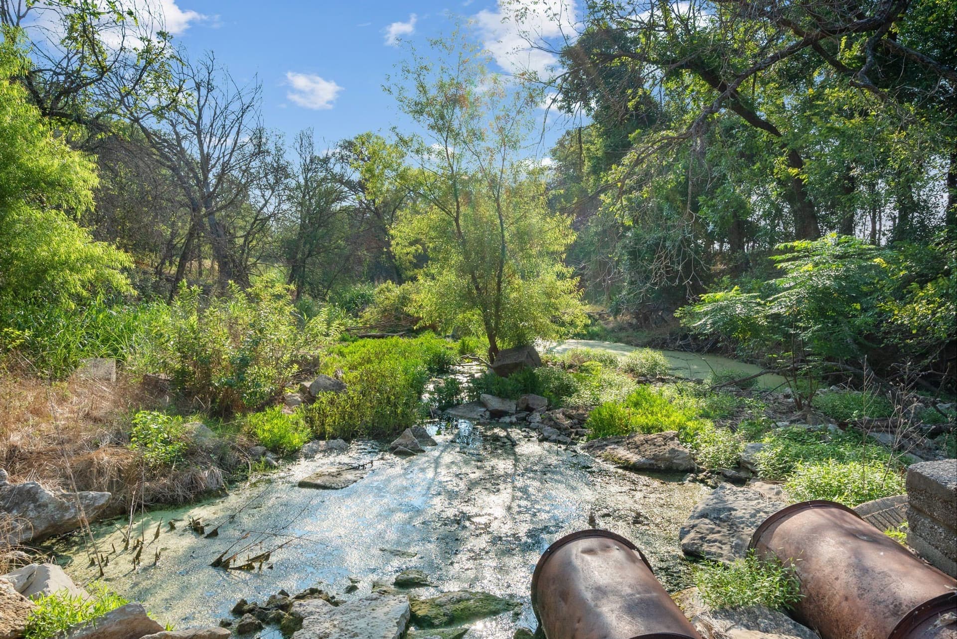 304.63 acres in Erath County - photo 34