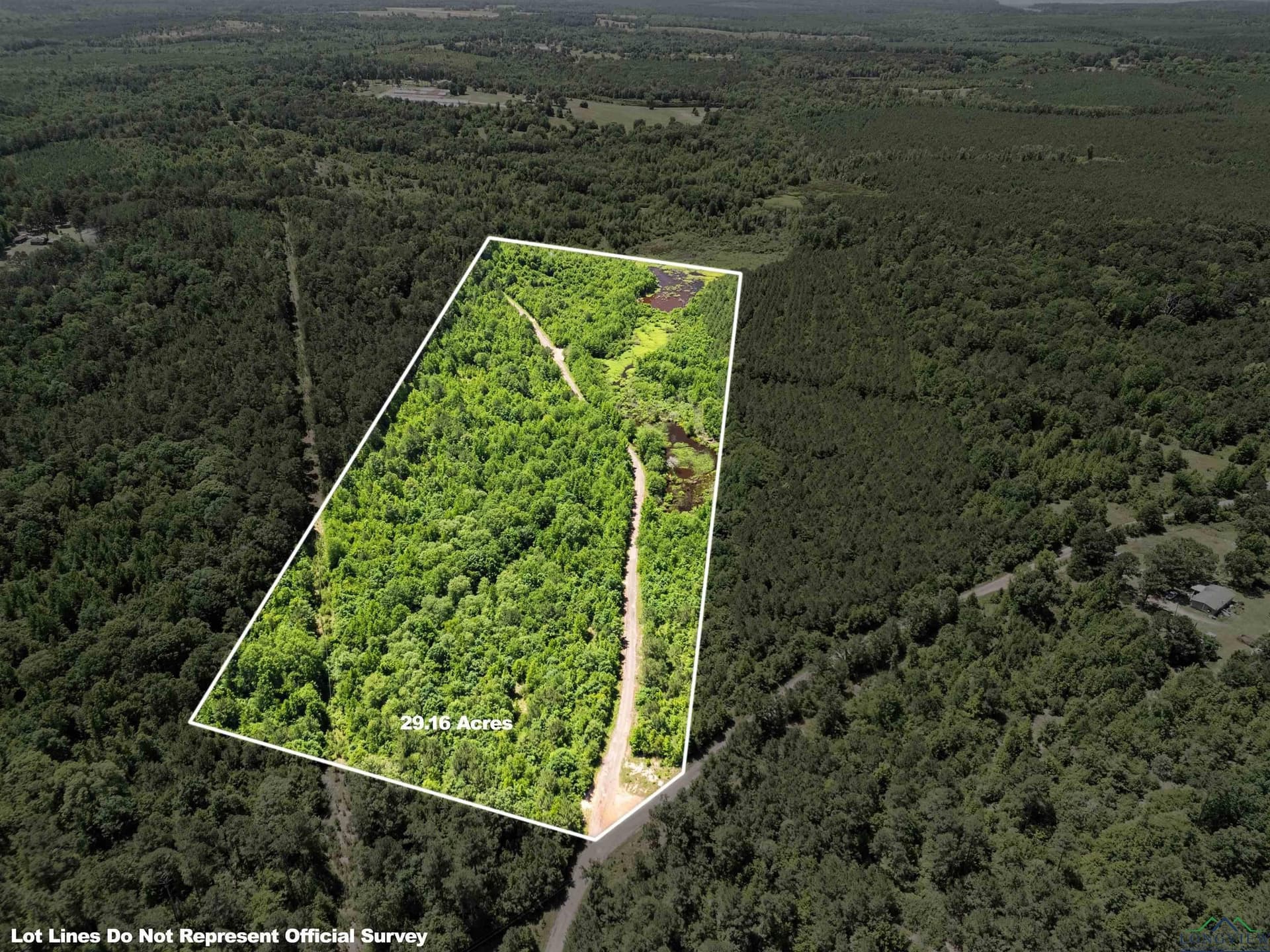 29.16 acres in Marion County gallery image 3