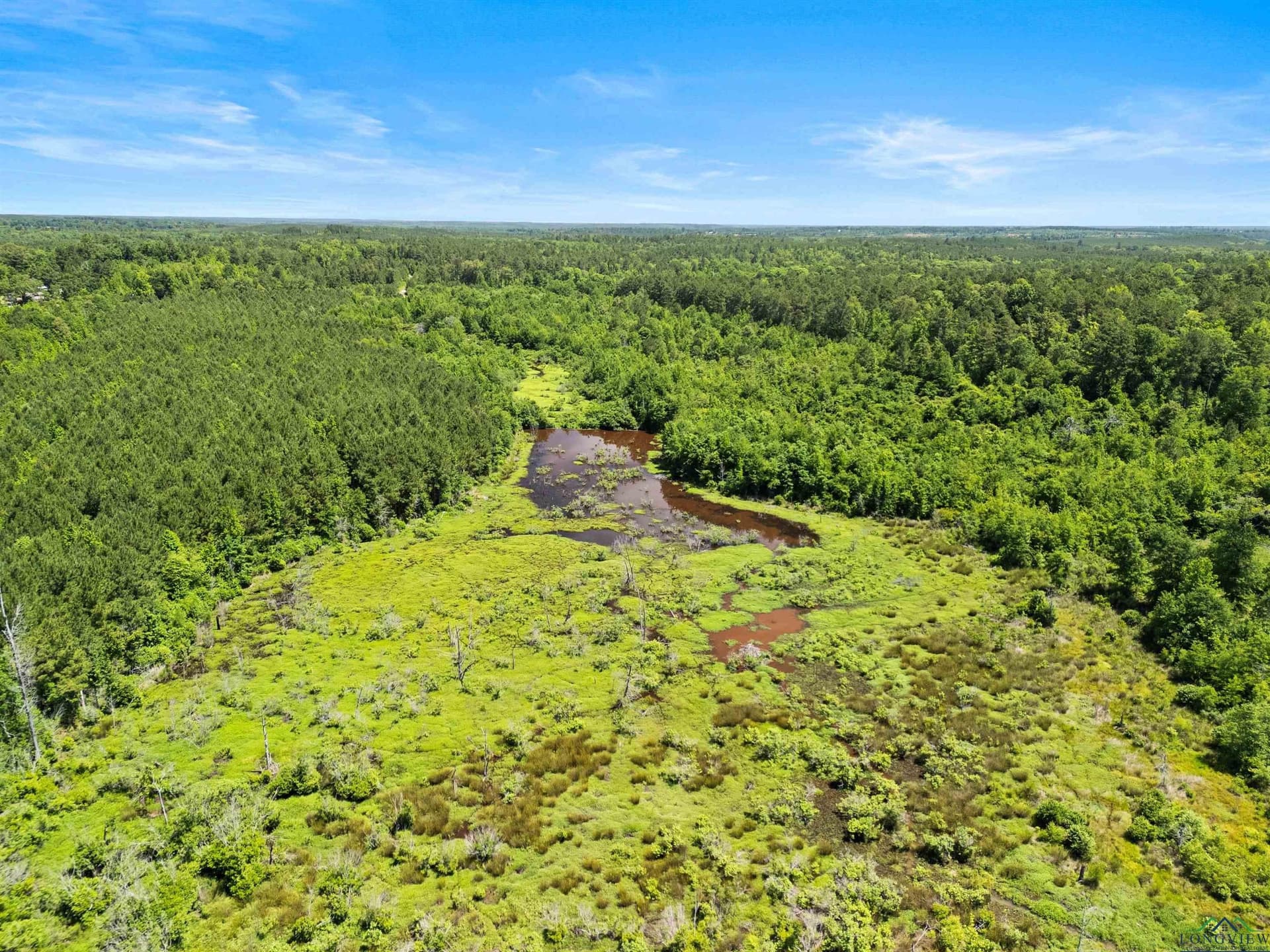 29.16 acres in Marion County gallery image 4