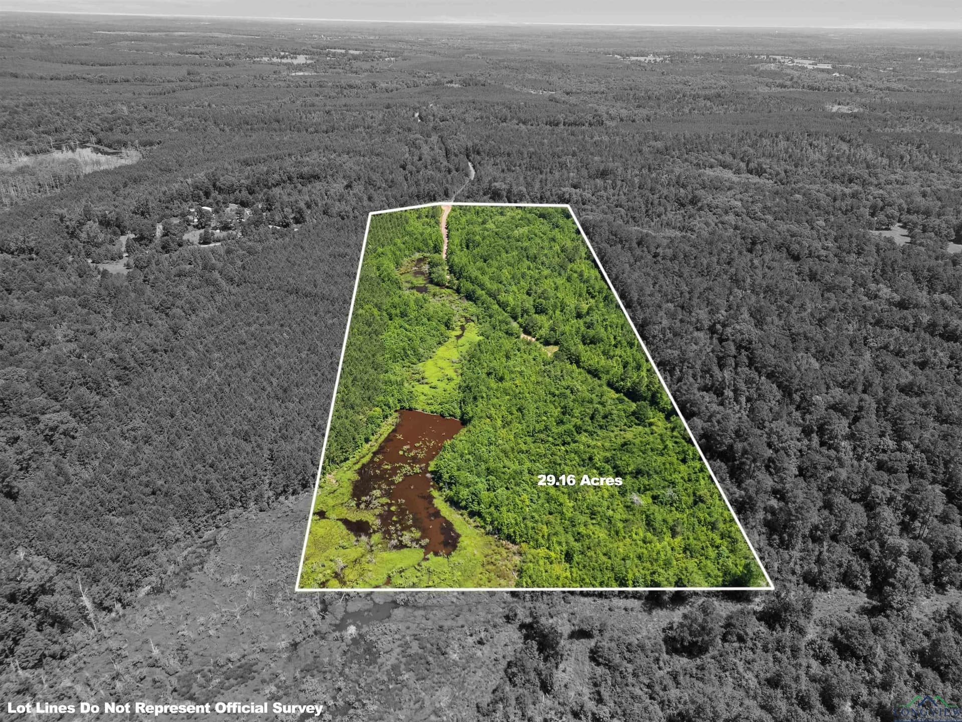 29.16 acres in Marion County