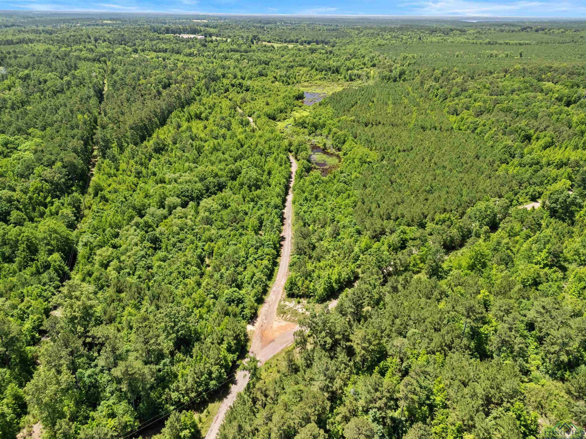 29.16 acres in Marion County gallery image 2