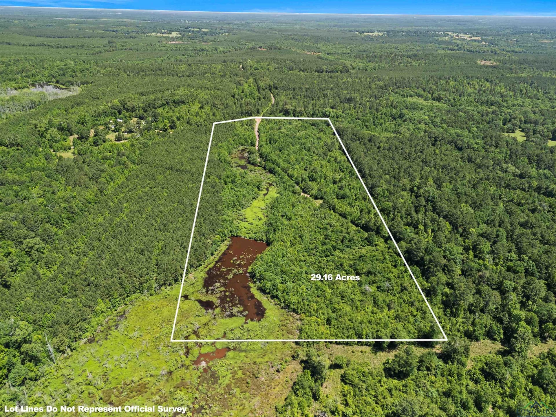 29.16 acres in Marion County featured view