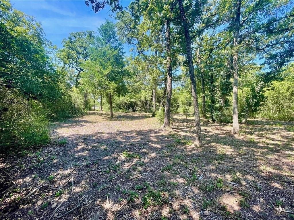 1.72 acres in Leon County - photo 9