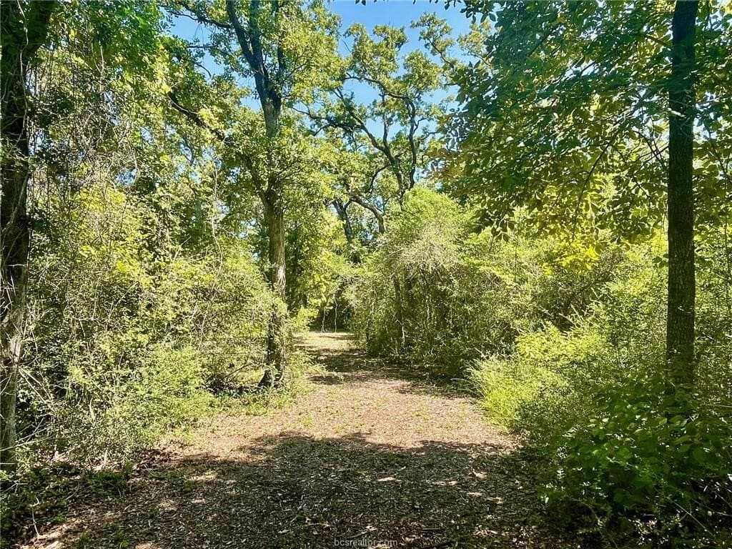 1.72 acres in Leon County - photo 6
