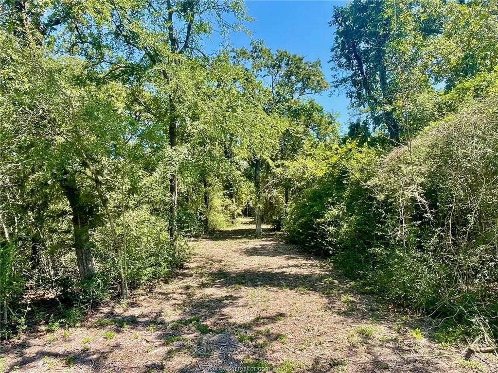 1.72 acres in Leon County - photo 7