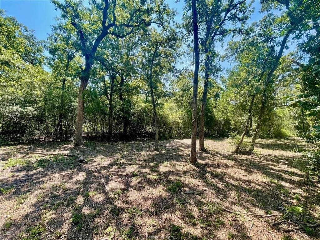 1.72 acres in Leon County - photo 10