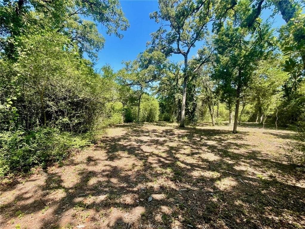 1.72 acres in Leon County - photo 13