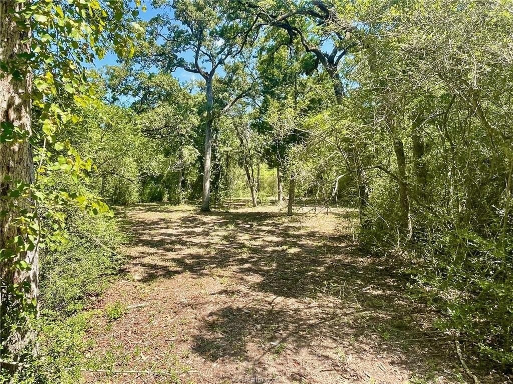 1.72 acres in Leon County - photo 8