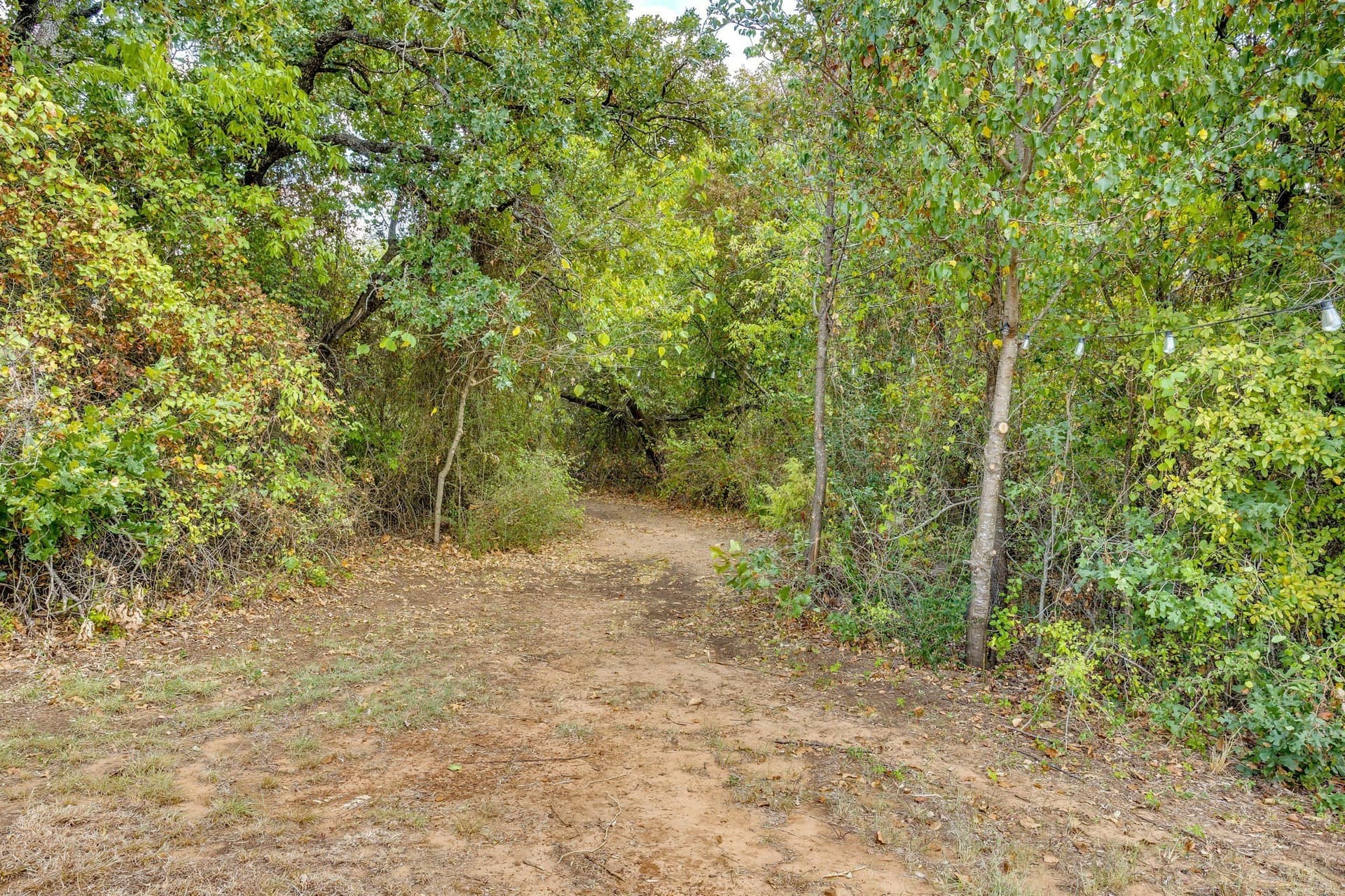11.01 acres in Johnson County - photo 39