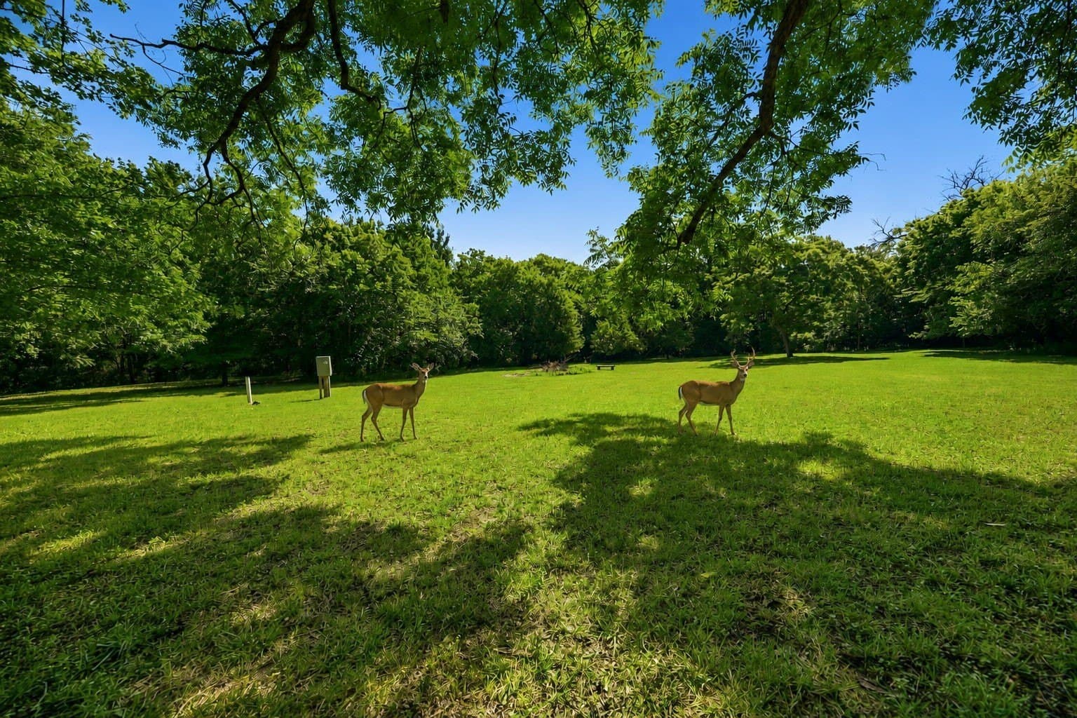 10.44 acres in Collin County - photo 30