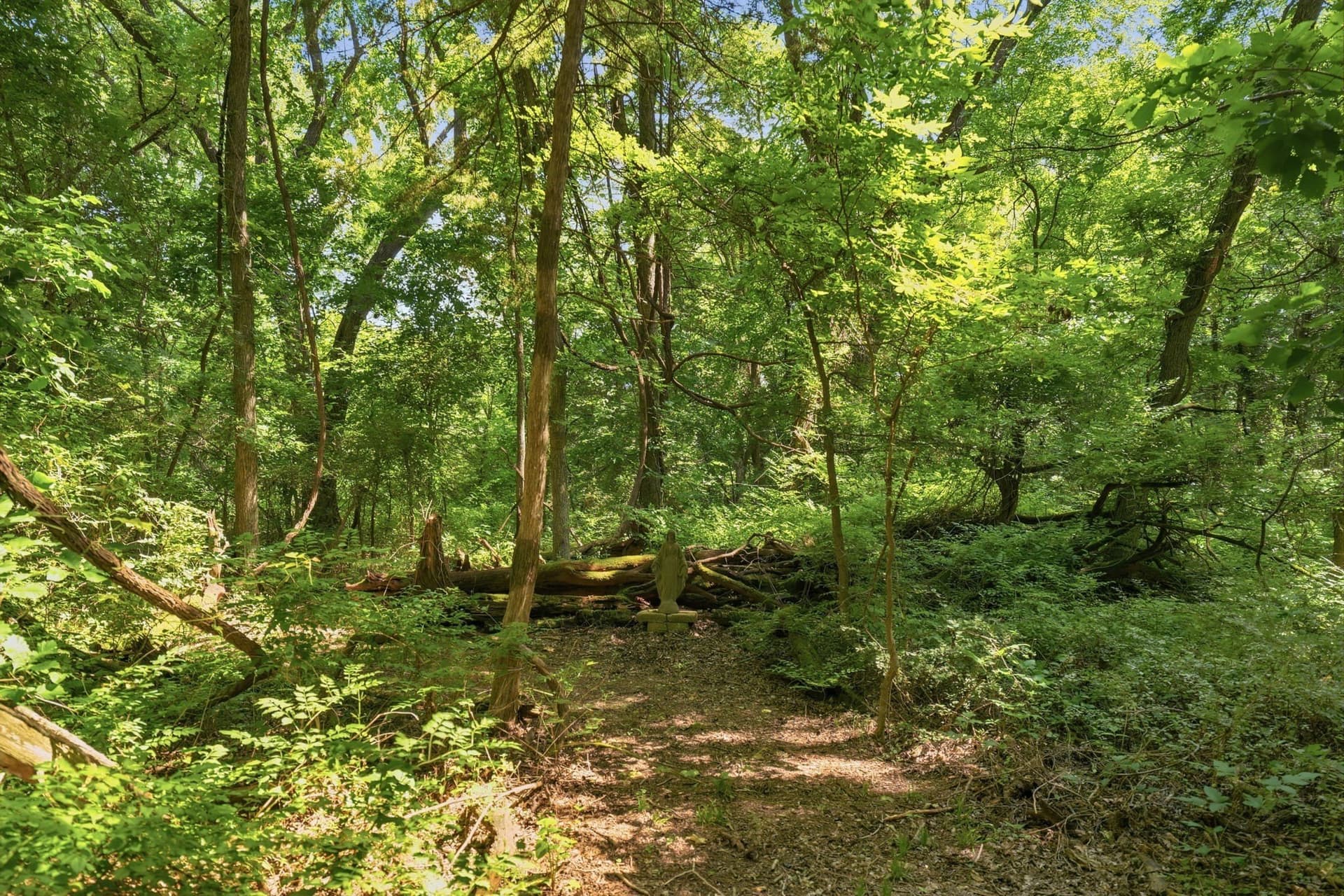 10.44 acres in Collin County - photo 36