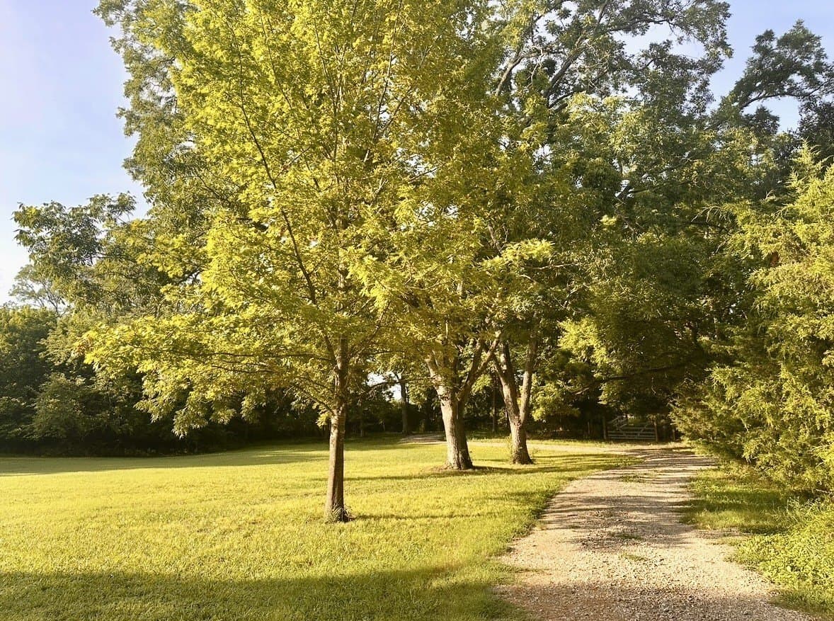 10.44 acres in Collin County - photo 29