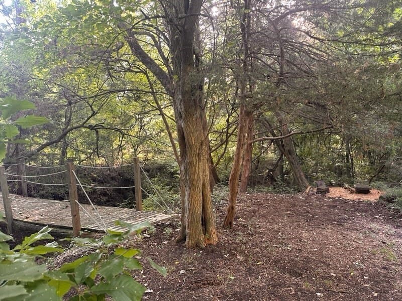 10.44 acres in Collin County - photo 38