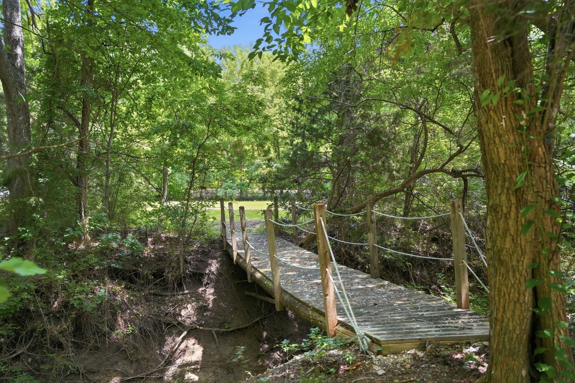 10.44 acres in Collin County - photo 37