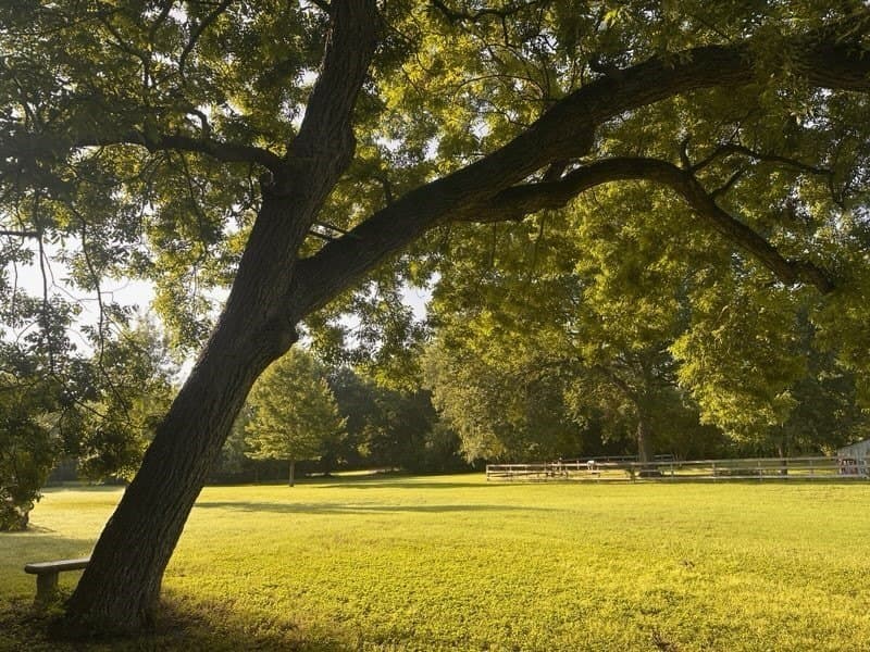 10.44 acres in Collin County - photo 33