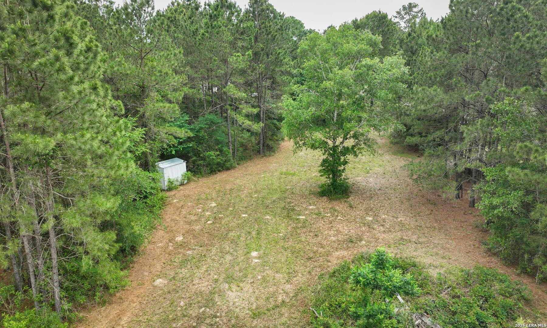 4.12 acres in Grimes County gallery image 2