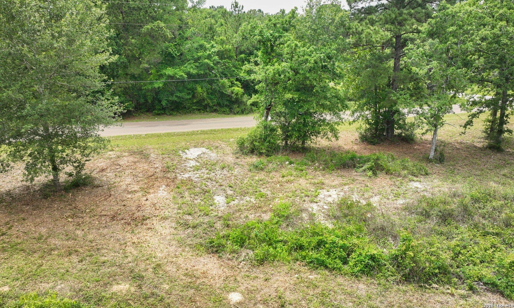 4.12 acres in Grimes County gallery image 4