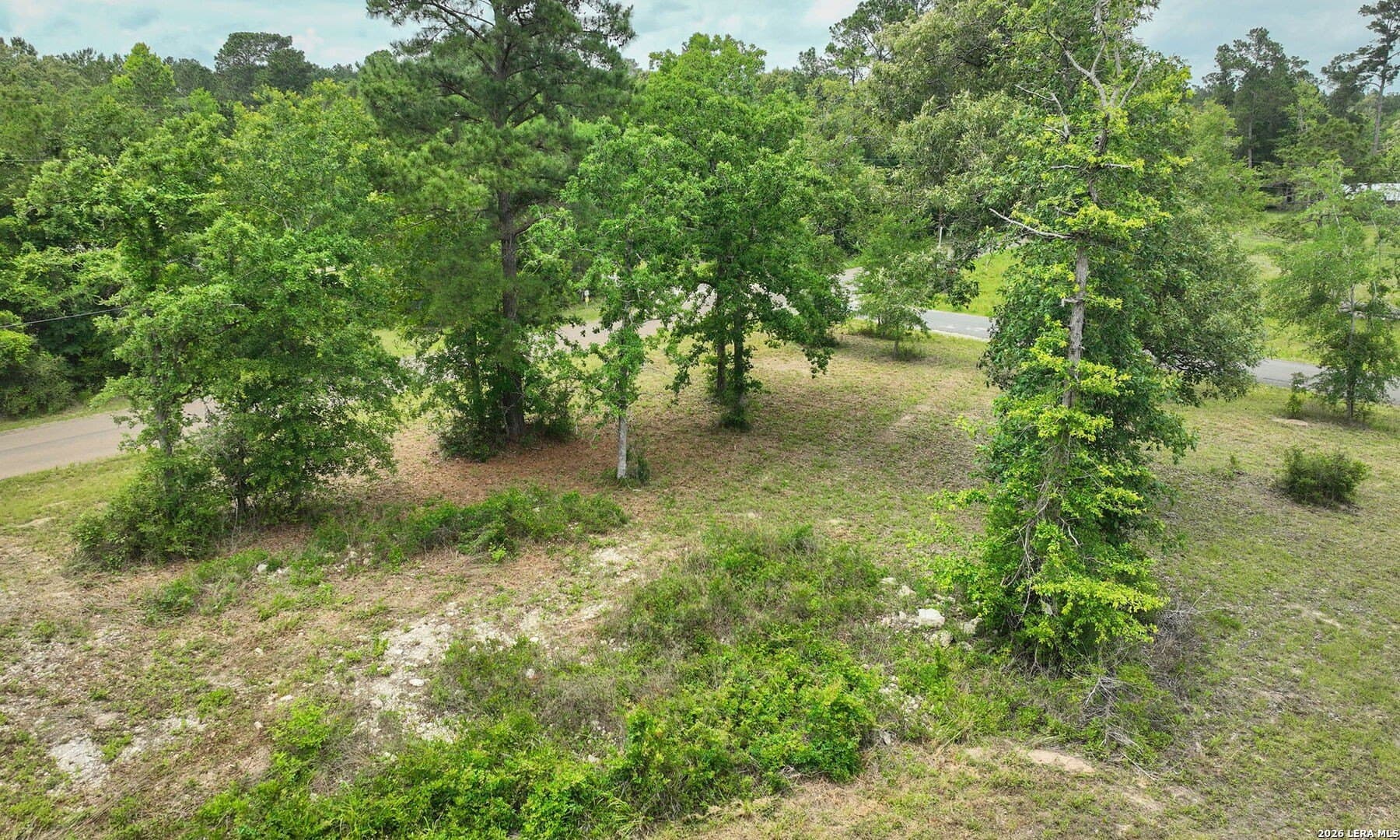 4.12 acres in Grimes County gallery image 3