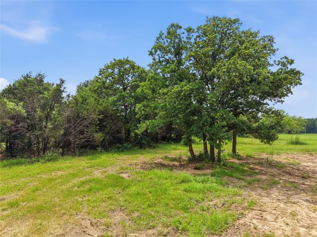 11.17 acres in Parker County gallery image 4