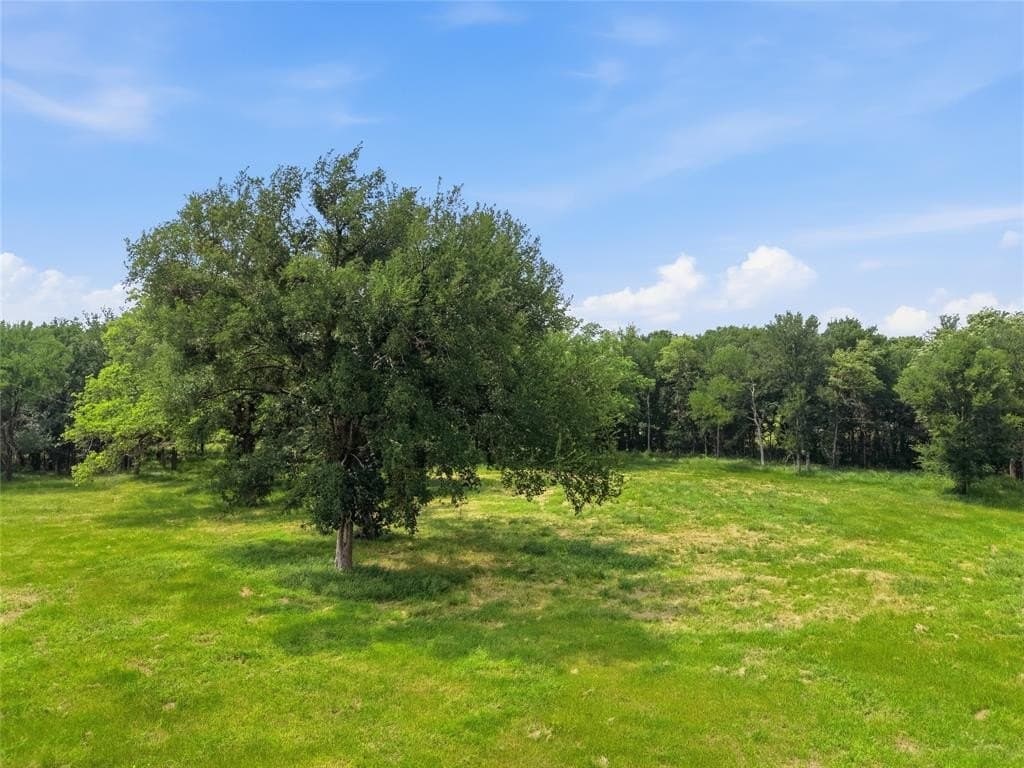 11.17 acres in Parker County gallery image 2