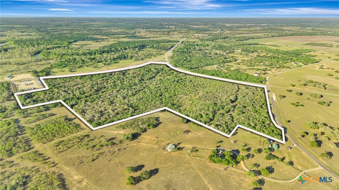 156.79 acres in DeWitt County gallery image 4