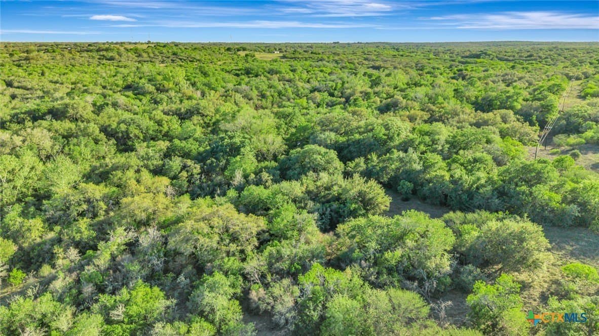 156.79 acres in DeWitt County - photo 14