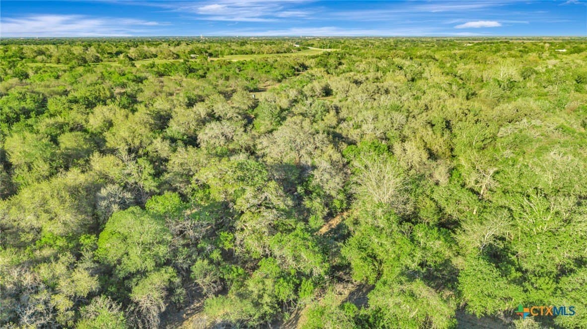 156.79 acres in DeWitt County - photo 15