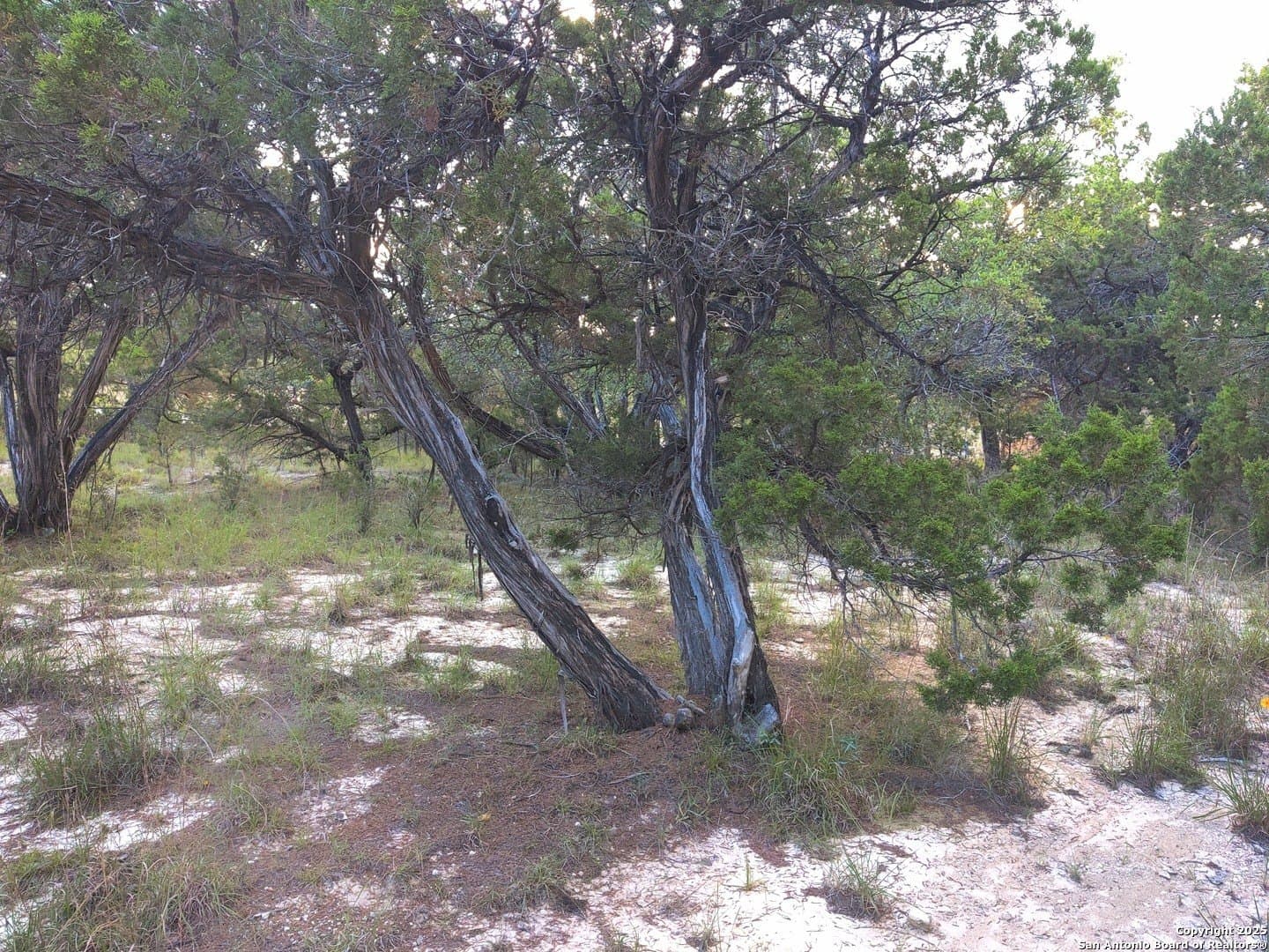 0.12 acres in Bandera County featured view