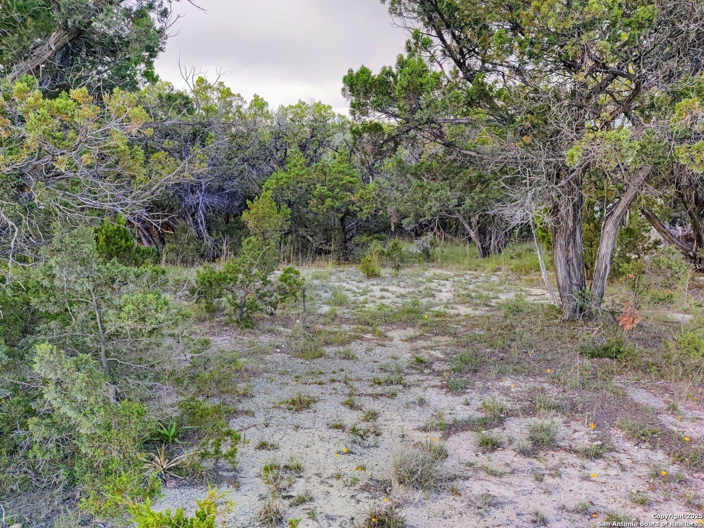 0.12 acres in Bandera County gallery image 4