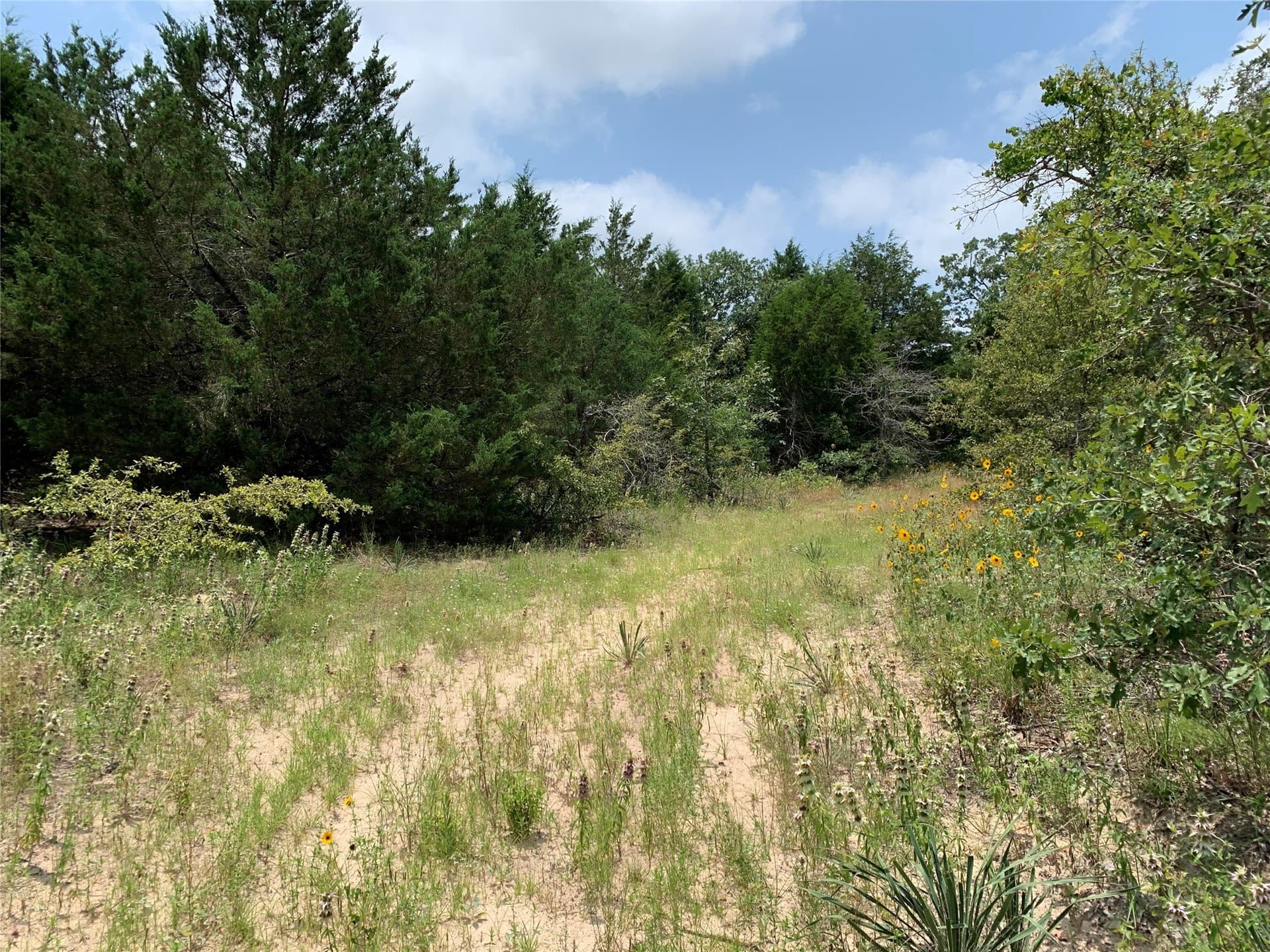 45.69 acres in Henderson County