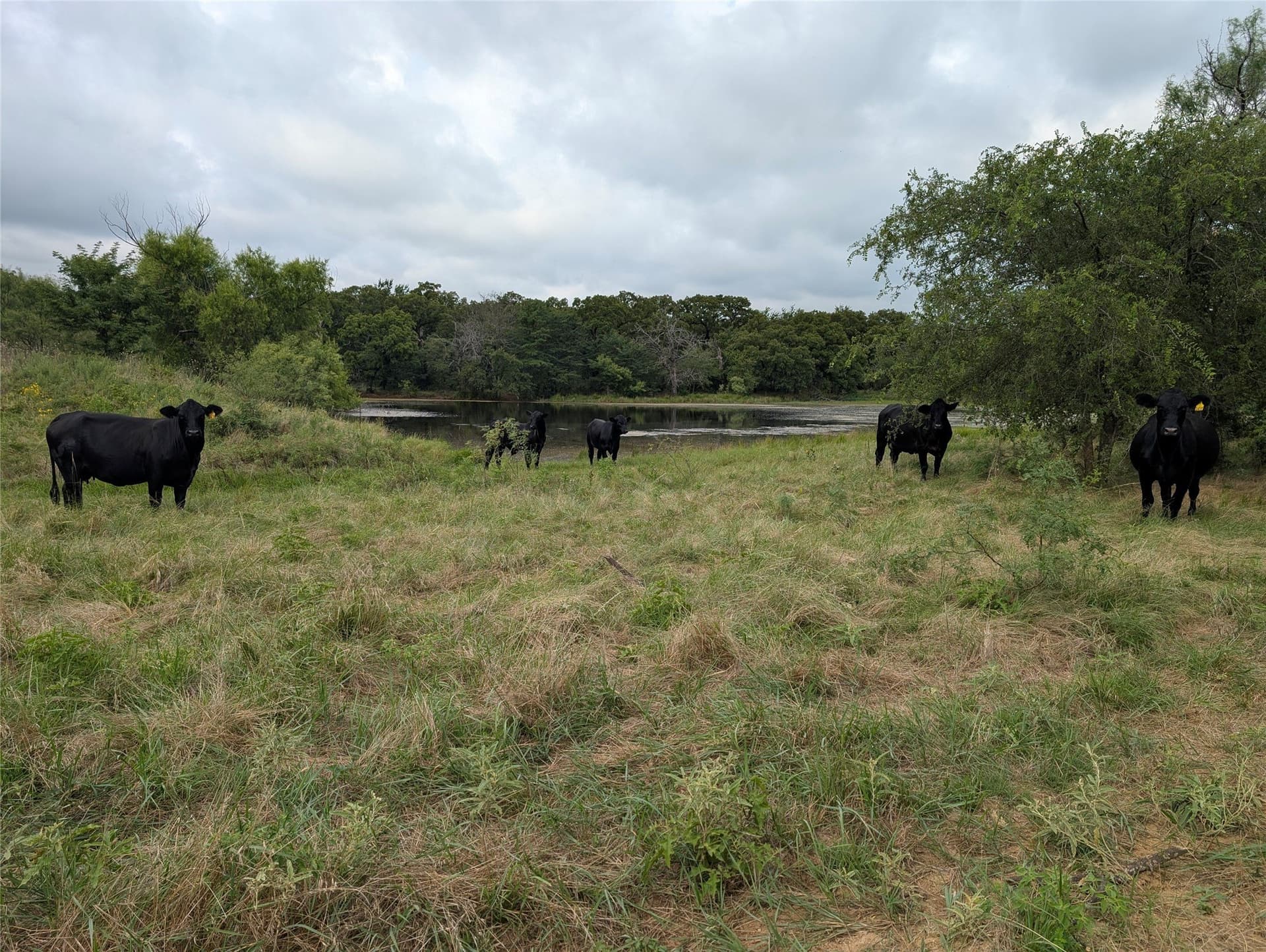 1,441 acres in Jack County - photo 22