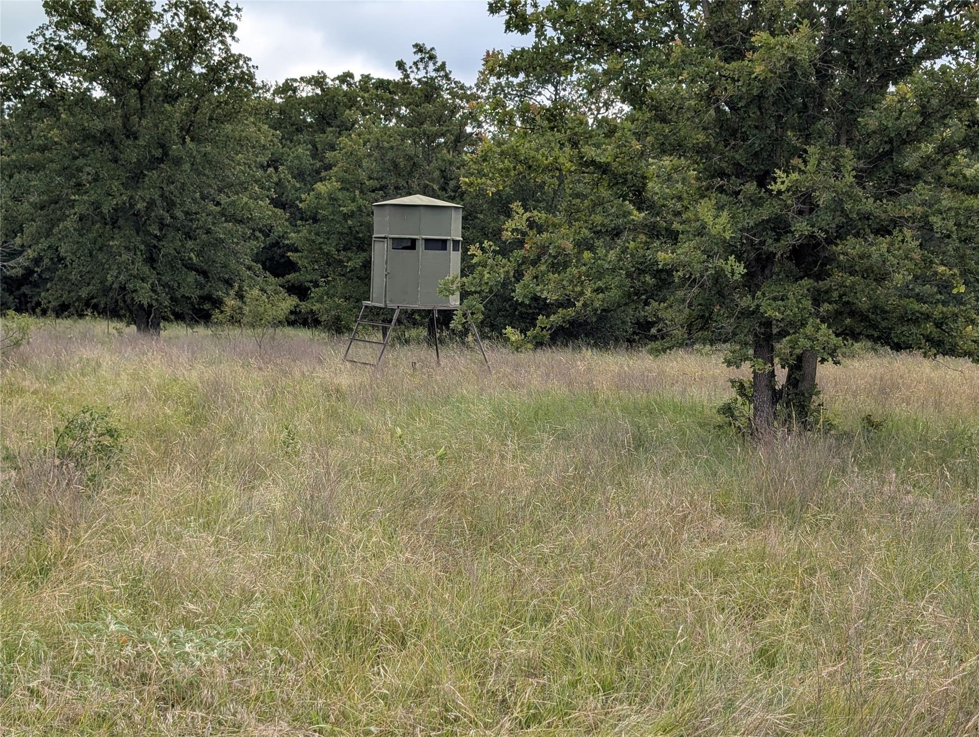 1,441 acres in Jack County - photo 33