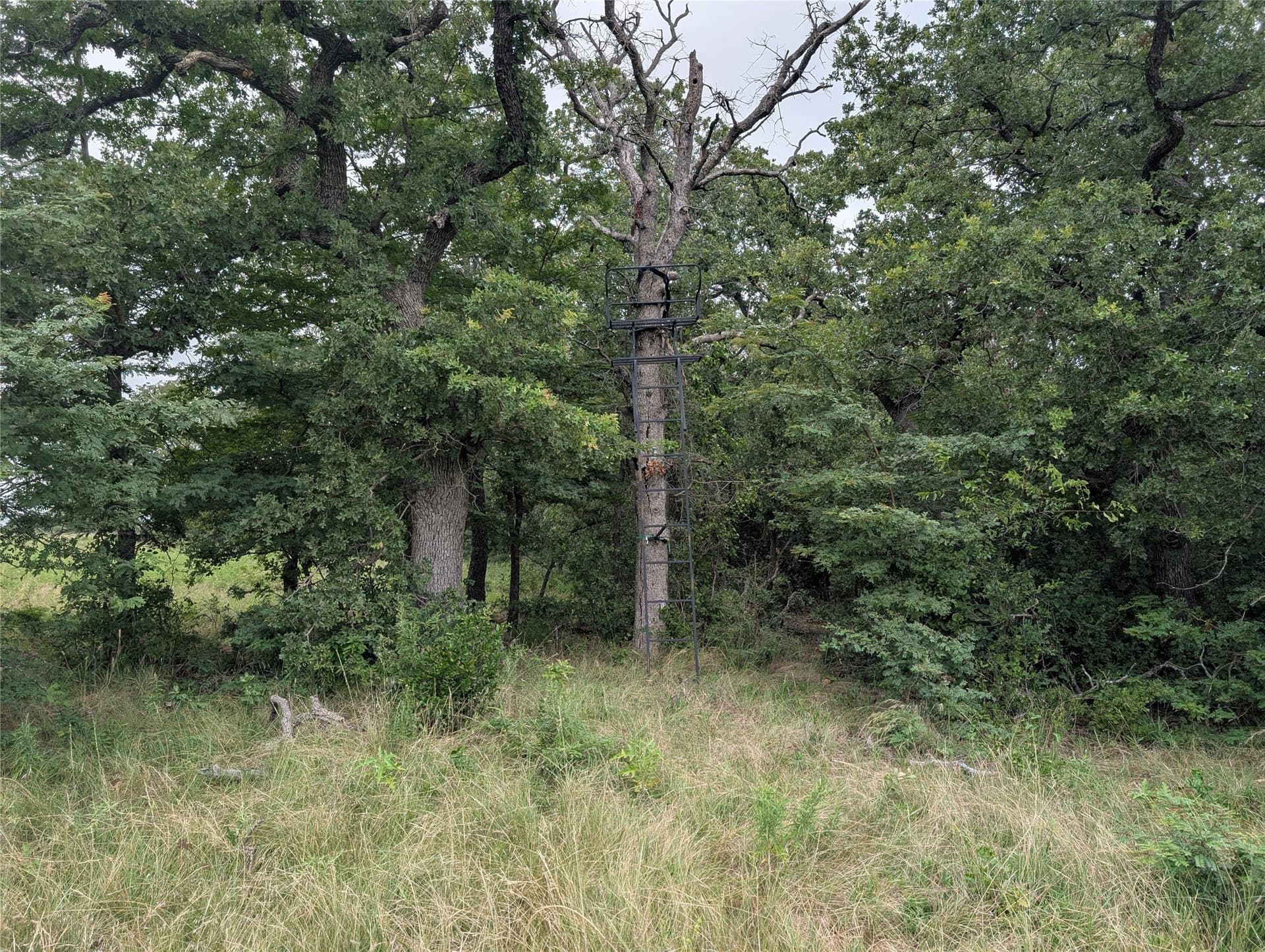 1,441 acres in Jack County - photo 35