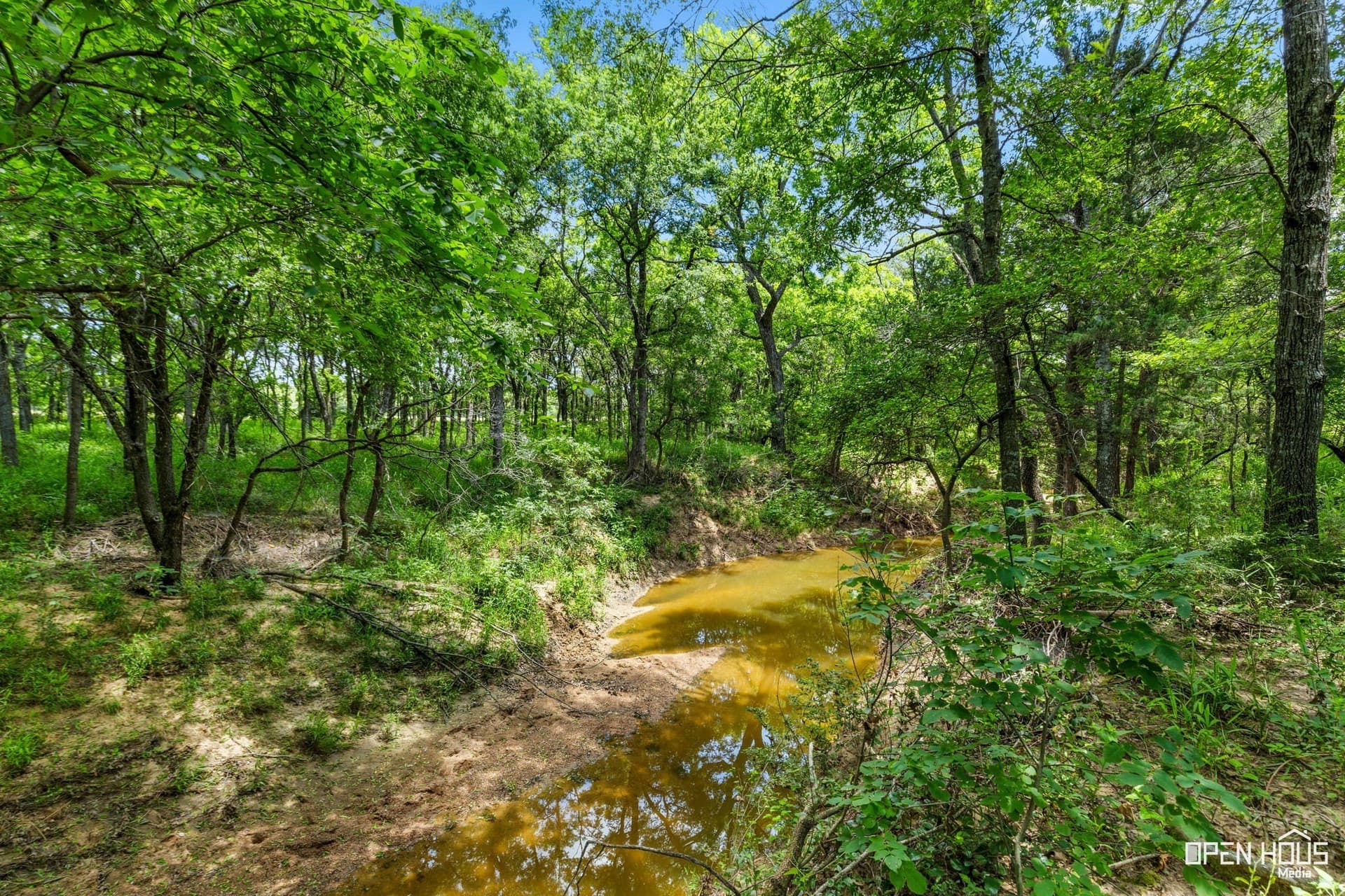 1,441 acres in Jack County - photo 17