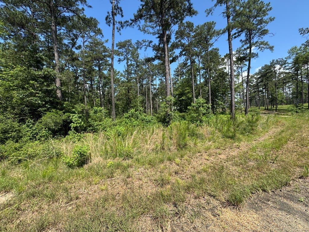 1.03 acres in Texas County gallery image 3