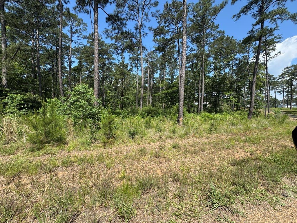 1.03 acres in Texas County featured view