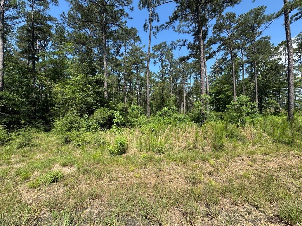 1.03 acres in Texas County gallery image 2