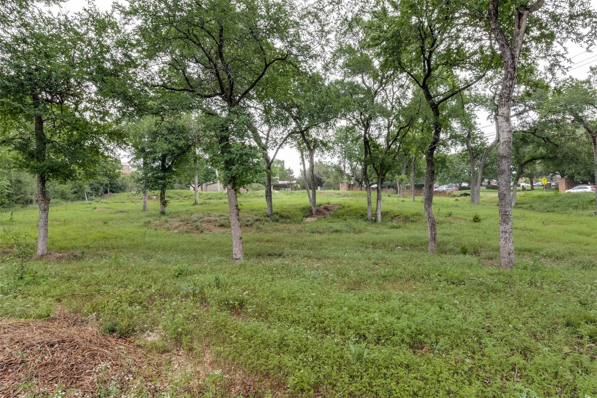 1.47 acres in Dallas County - photo 7