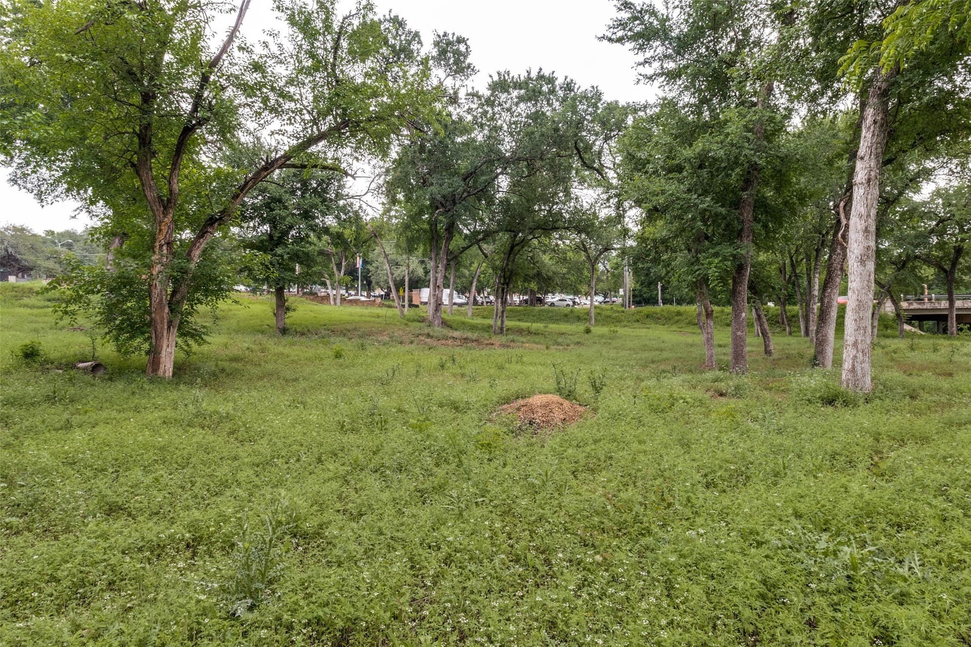 1.47 acres in Dallas County - photo 8