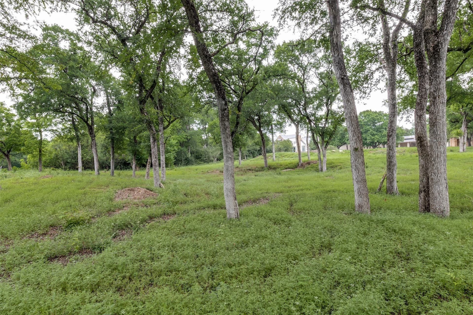 1.47 acres in Dallas County - photo 6