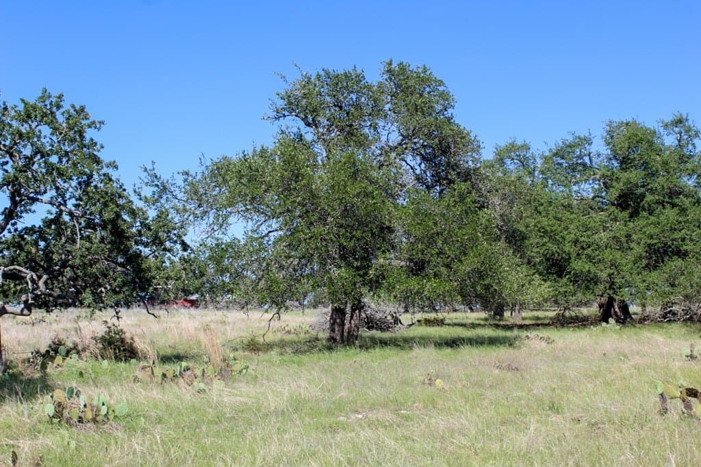 8.8 acres in Kerr County gallery image 2