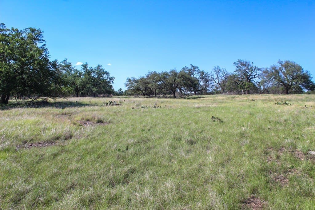8.8 acres in Kerr County gallery image 4