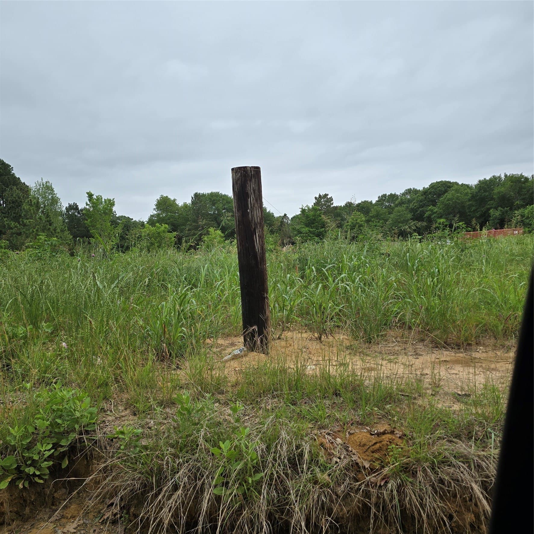 19.93 acres in Henderson County gallery image 2