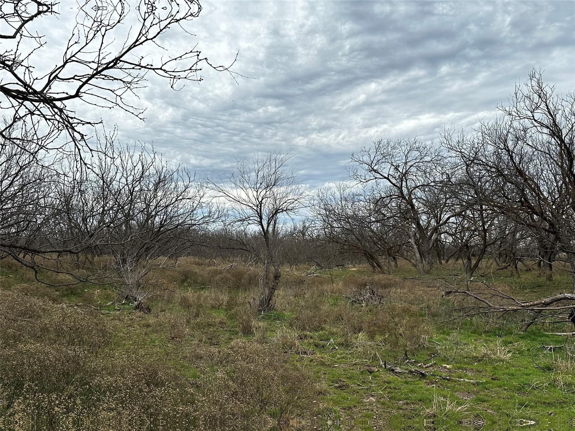 13 acres in Callahan County