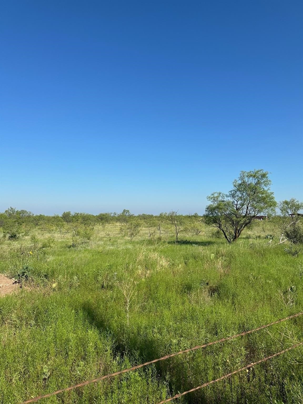 13 acres in Callahan County - photo 5